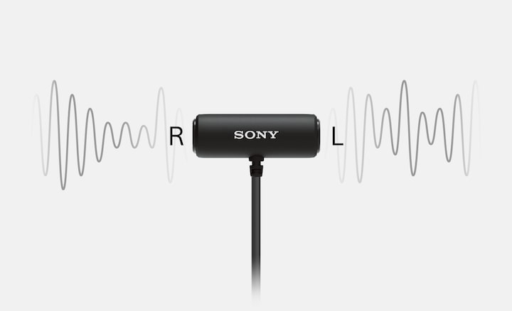 Ilustración que muestra cómo el ECM-LV1 capta el sonido estéreo